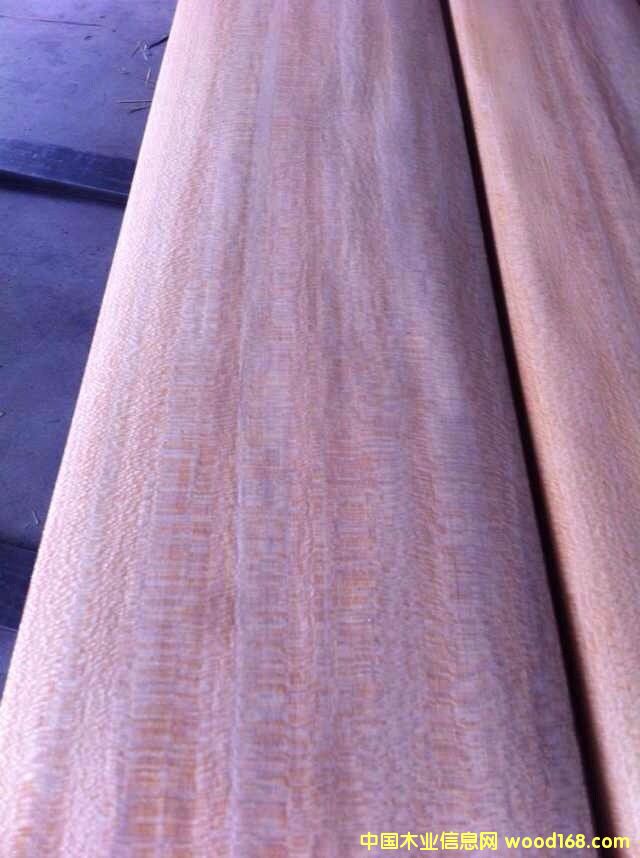 黃尼斯的詳細(xì)介紹