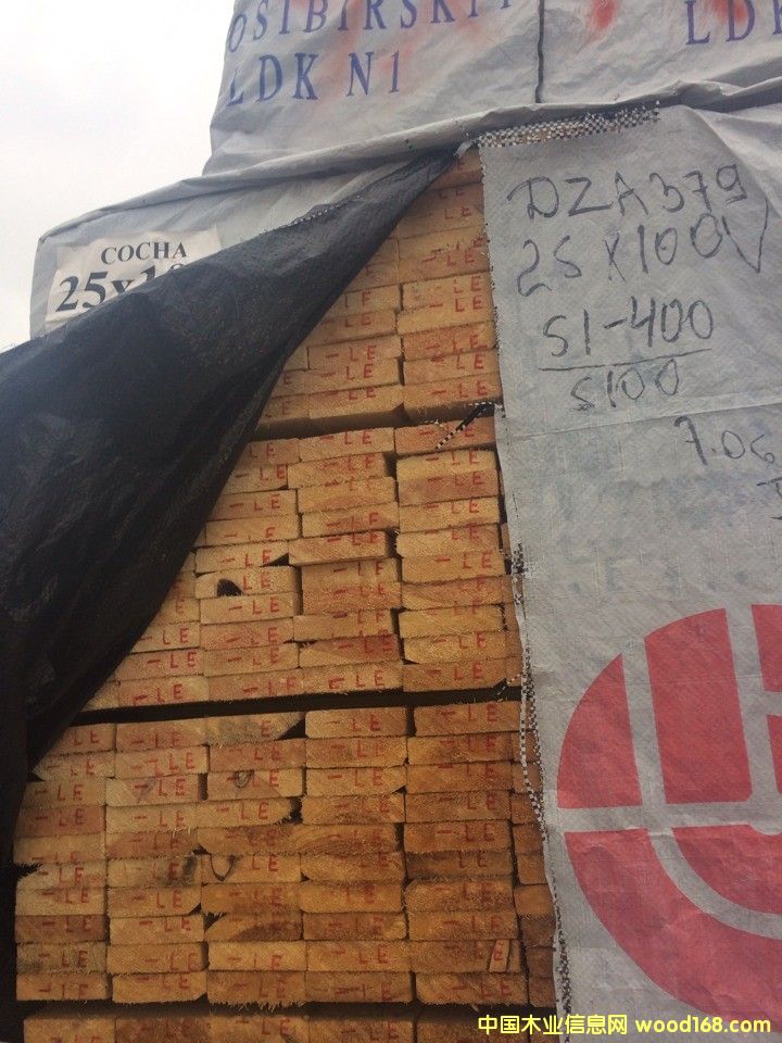 樟子松的詳細(xì)介紹