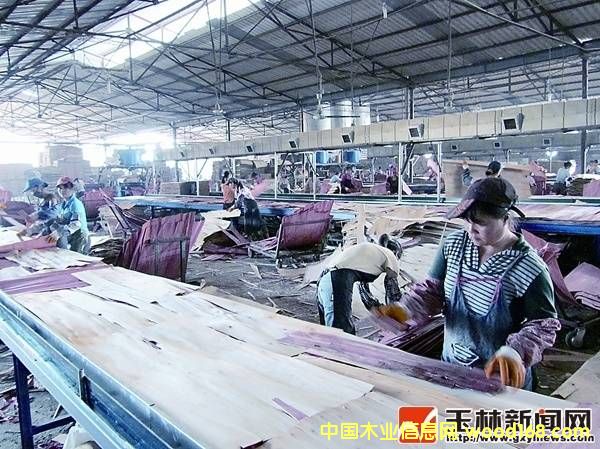 Vׁɽ֮a(chn)I(y)@50ľI(y)I(y)ͶYa(chn)