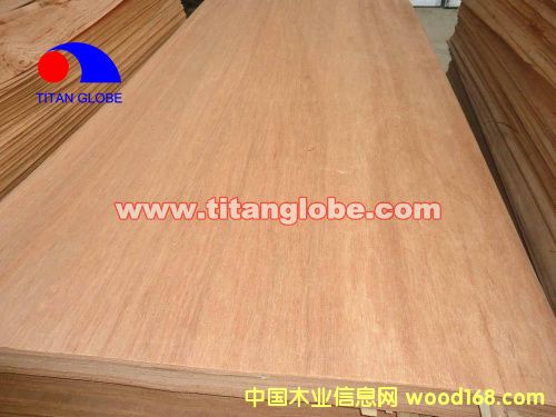 Hardwood Veneer-Titan GlobeԔ(x)B