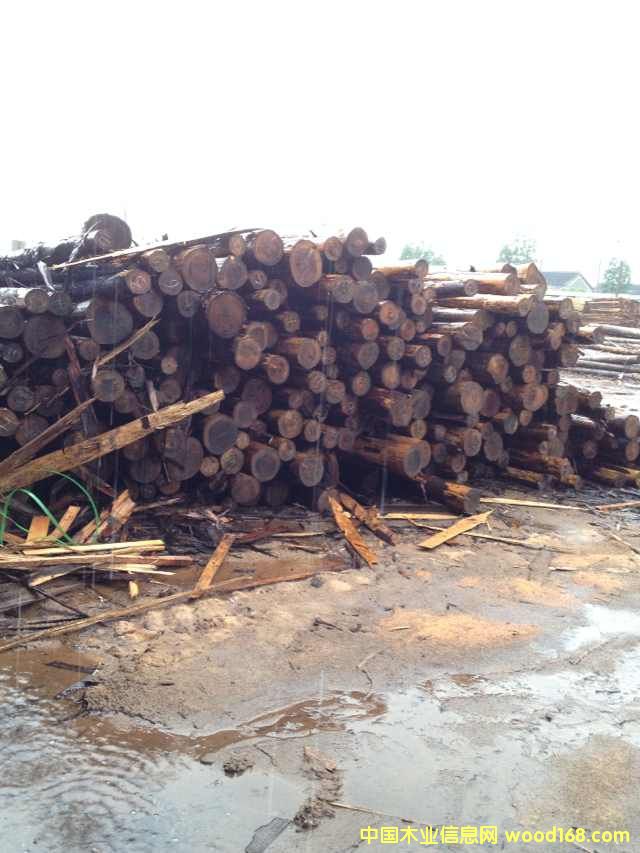 [] ձɼԭľ ɼľ ɼľ һ؛ԴM(jn)