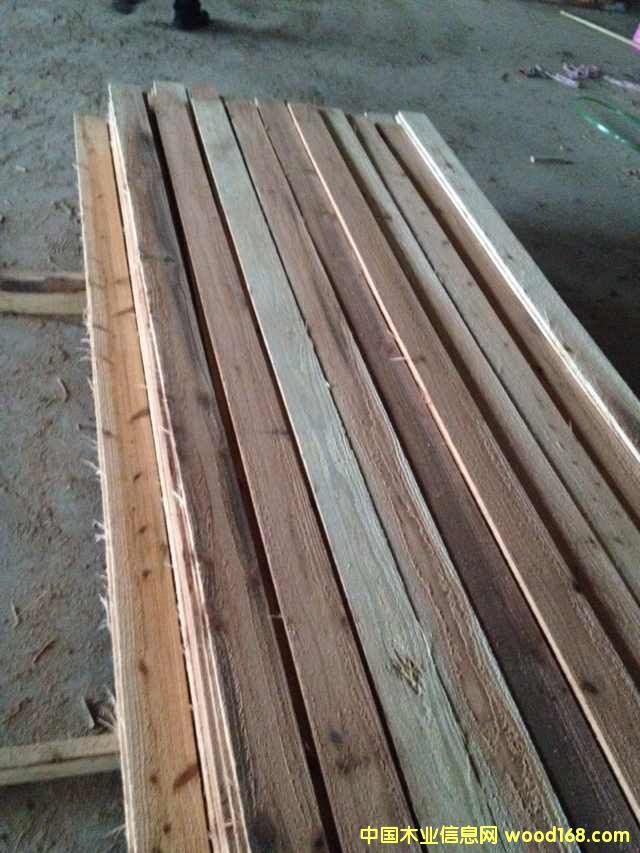 [] ձɼԭľ ɼľ ɼľ һ؛ԴM(jn)