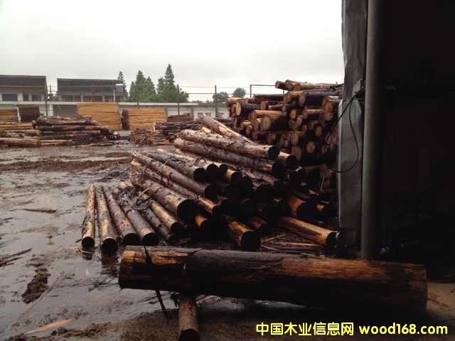 [] ձɼԭľ ɼľ ɼľ һ؛ԴM(jn)