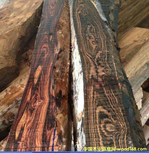 (yng)V(yu)|(zh)ľԔ(x)B