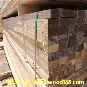 Sҹ(yng)ݗ F(xin)؛ݗľϹ(yng) ɶƵԔ(x)B