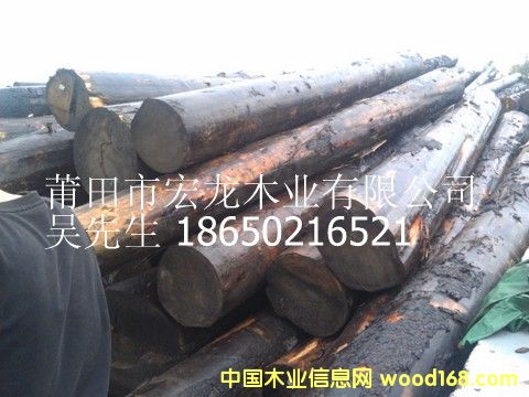 云杉原木的詳細(xì)介紹