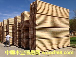 25MMCOL(j) ؼ(j) A(j)ݗɺɰ