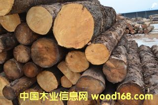 BTľЈ(chng)ӹFɼԔ(x)B