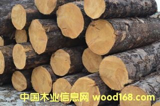 ľЈ(chng)ӹݗɵԔ(x)B