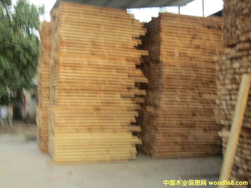 黃桐木的詳細(xì)介紹