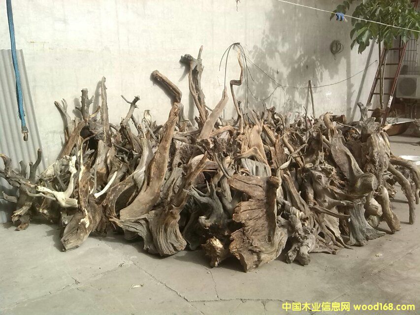 c(din)鿴̫°طŴDƬ