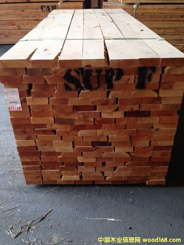 赤楊的詳細(xì)介紹