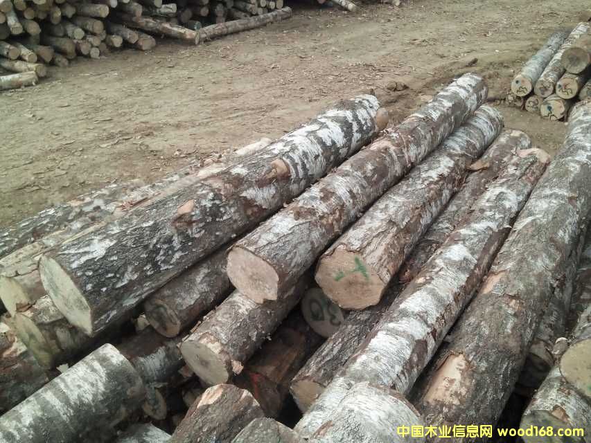 M(jn)ڇ(gu)ľN۵Ԕ(x)B