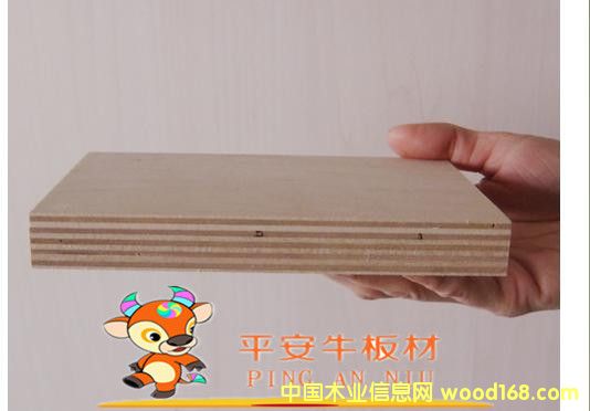 12Ӱ壬zϰƽţƵҾ߰ĵԔ(x)B