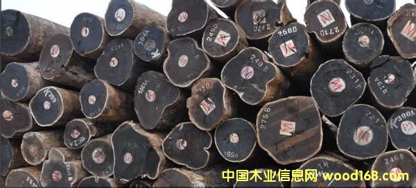 c(din)鿴ϺľM(jn)ڈ(bo)P(gun)ŴDƬ