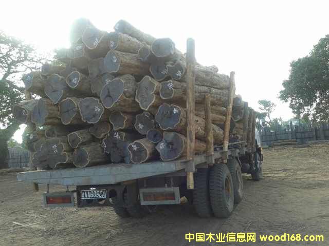 Ϲ̴|ǺS̴ľԔB