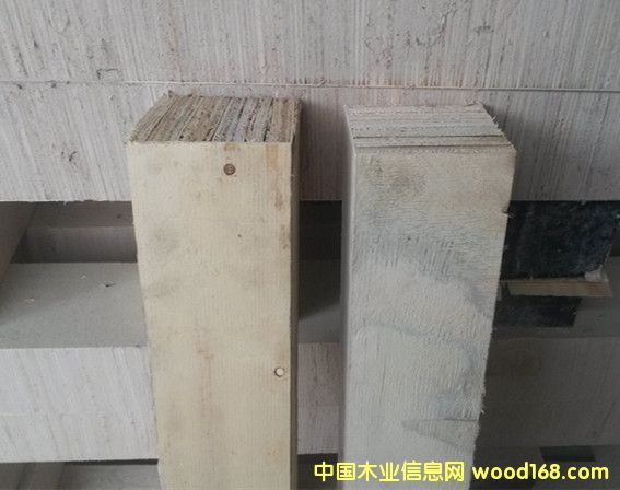 bľбP(pn)õzϵzϰӰ|ȗlľԔ(x)B