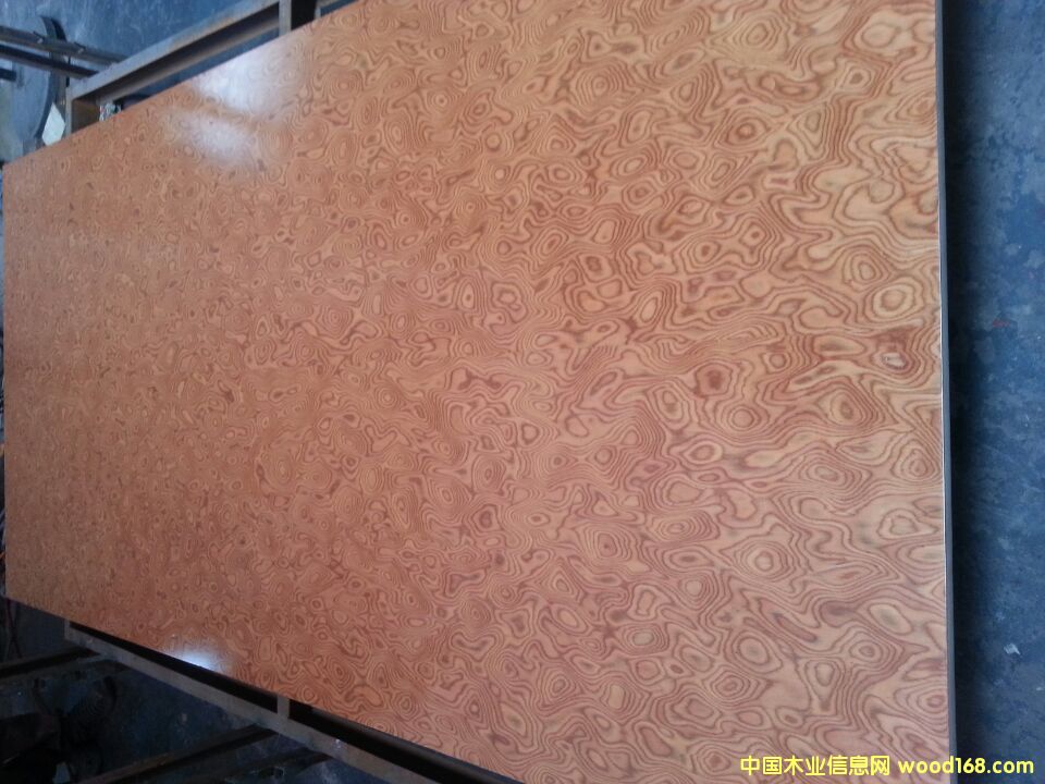 ɽA(yng)N(sh)ľƤҾ߰Ԕ(x)B