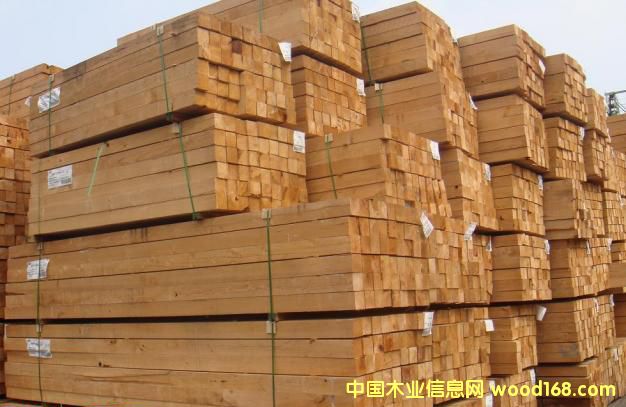 mݗɟo(ji)  ľo(ji) 냺 ݗɴԔ(x)B