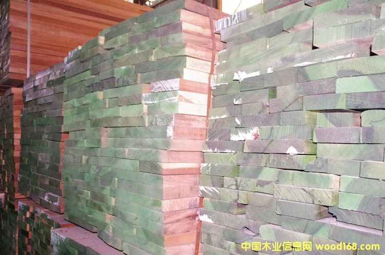 沙比利2的詳細(xì)介紹