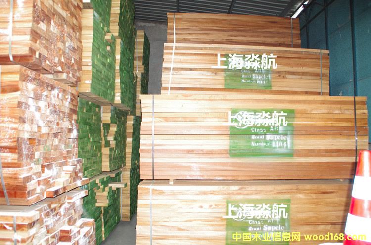 沙比利1的詳細(xì)介紹