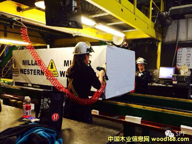 MILLAR WESTERNSPFļӹ