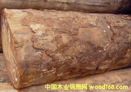 非洲材詳解:塔立_格木_非洲菠蘿格