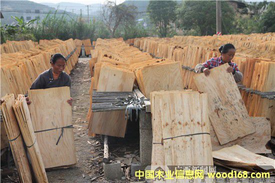 Vľļӹ(dng)r(nng)¸