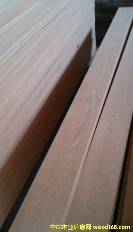 紅橡的詳細介紹