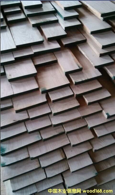 紅橡的詳細介紹