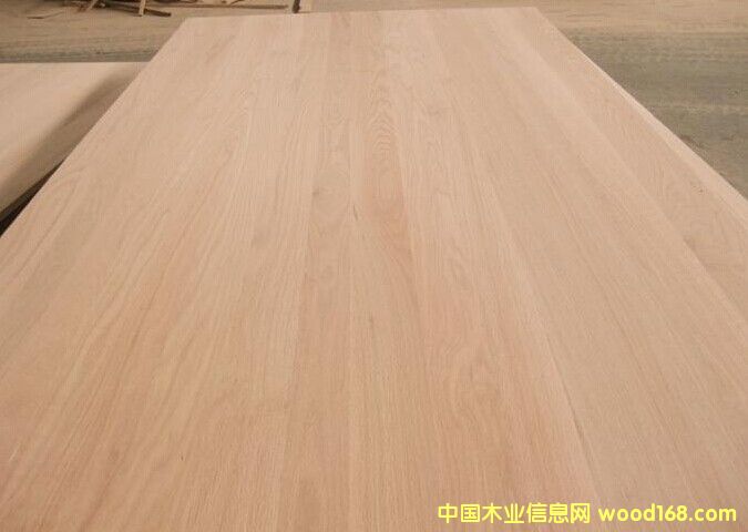 紅橡的詳細介紹