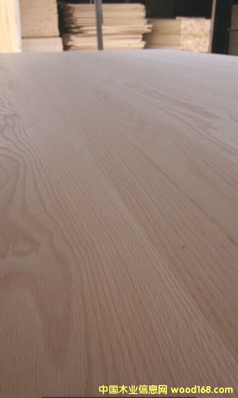 紅橡的詳細介紹