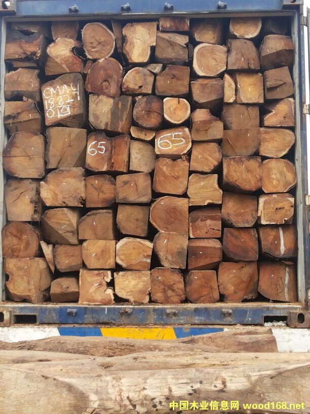 ׃(ni)-ȽB̴M(jn)ڈ(bo)P(gun)