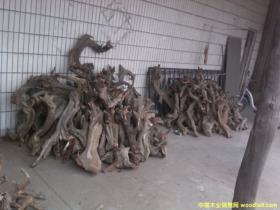 c(din)鿴(yu)|(zh)°طŴDƬ