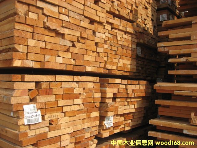 花旗的詳細介紹