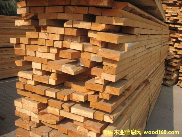 花旗的詳細介紹