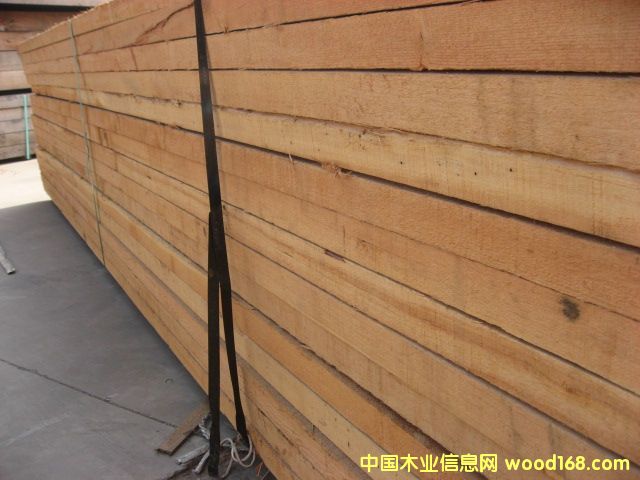 花旗的詳細介紹