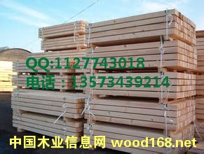 zϰ бP(pn)îζӰ бP(pn)w