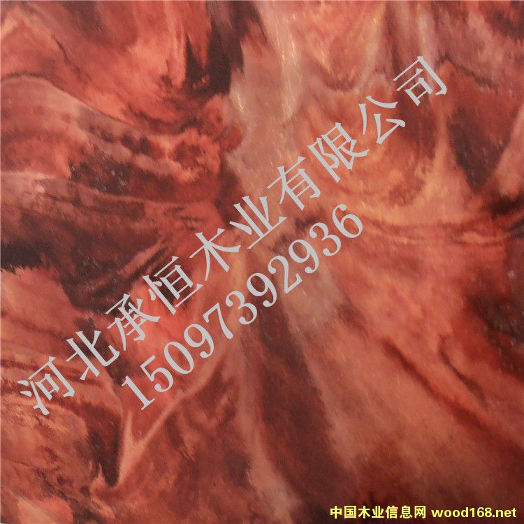 [] ҿںӱкľI(y)UV߷ӰbA؅^(q)̓r