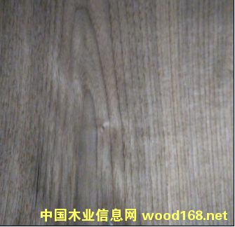 黑胡桃的詳細(xì)介紹