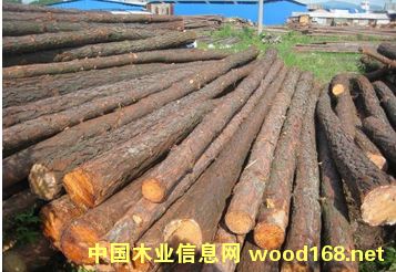 (yng)ľľ/ԭľӵľԔ(x)B