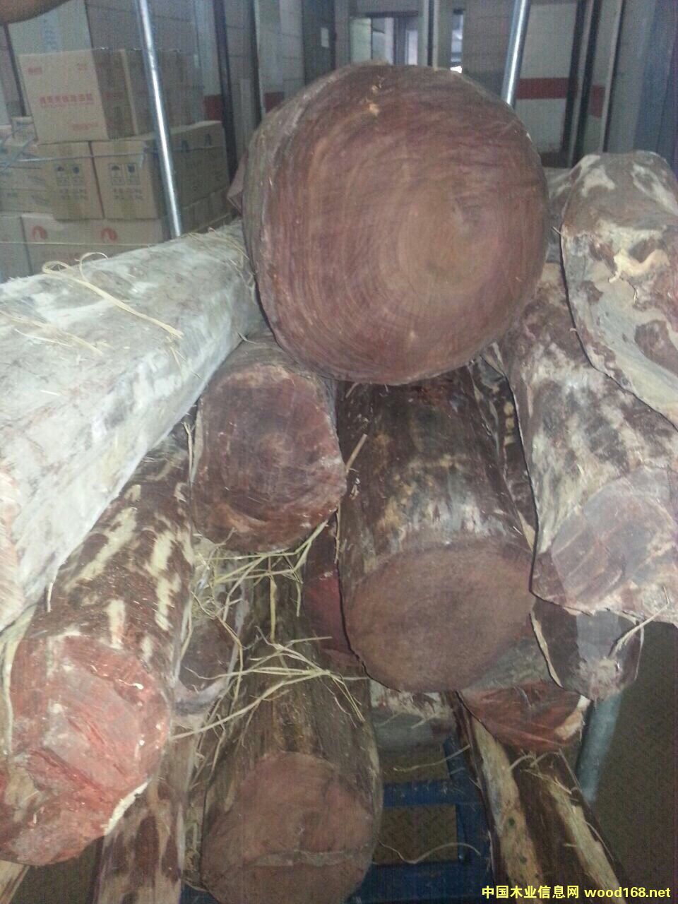 沉香的詳細(xì)介紹