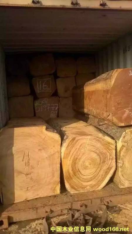 緬茄的詳細(xì)介紹