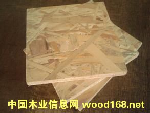 c(din)鿴ň@Wzϰ18mmŴDƬ