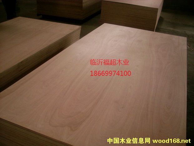 c(din)鿴UP zϰ 12mm ň@ŴDƬ