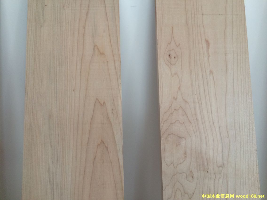 軟楓木的詳細(xì)介紹