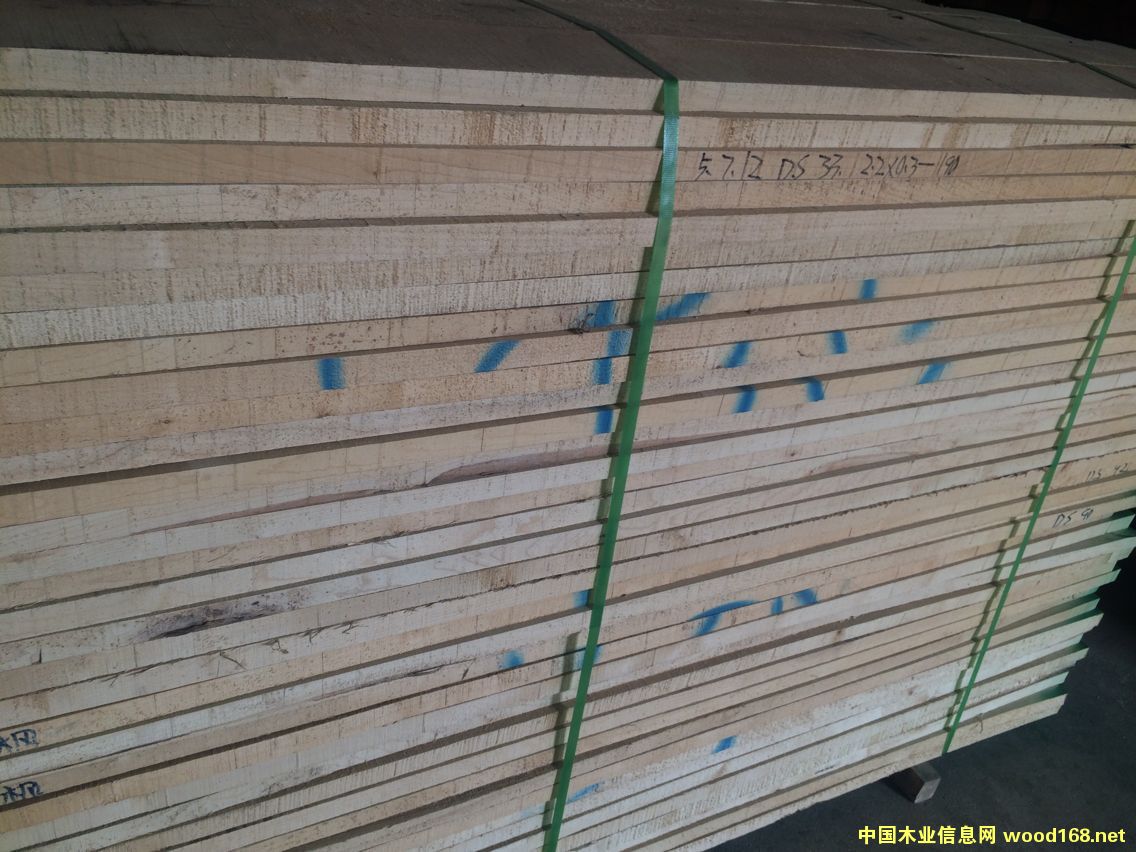 硬楓的詳細(xì)介紹