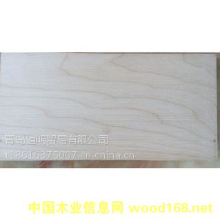 硬楓木的詳細(xì)介紹