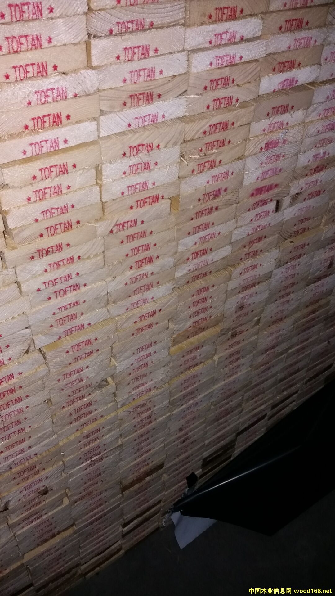 云杉的詳細介紹