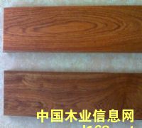 㻨挍(sh)ľذԔ(x)B